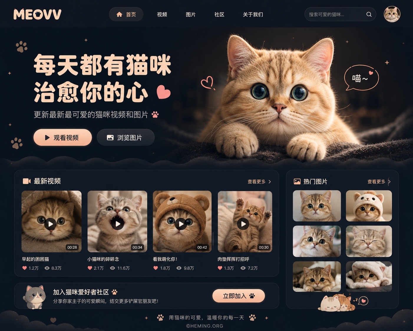 MEOVV website preview